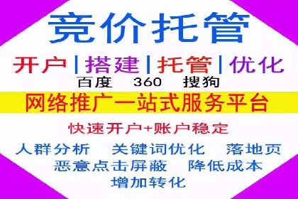 专业SEM托管：成功提升广告效果的案例分析