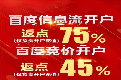 电商成功案例：竞价推广助力品牌崛起